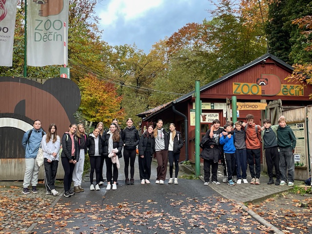 Hrabání listí v ZOO