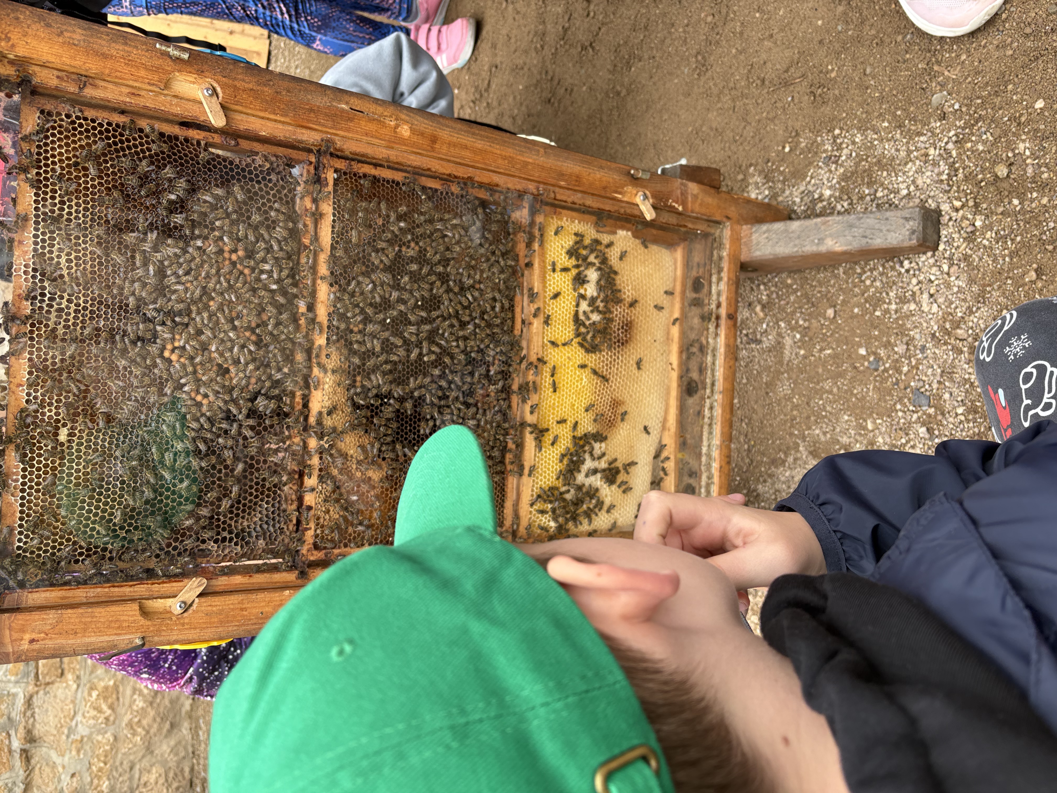 Den biologické rozmanitosti