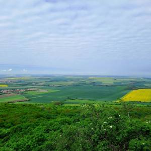 IMG-20250507-WA0018_original